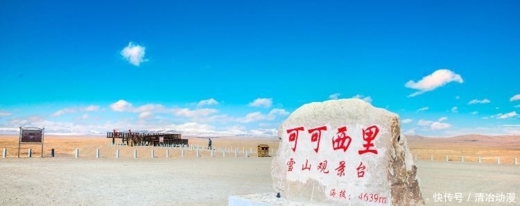  自然保护区|你可能误解了什么！可可西里不是诗和远方，这里有狼、熊、豹……