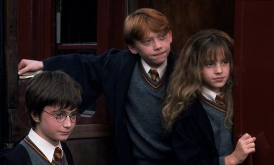 佩妮姨妈|知道故事结局的你，再看哈利波特时注意点都在哪里呢？