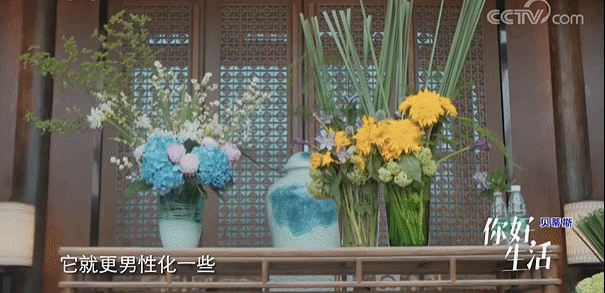  生活|这档被埋没的神仙综艺，值一个热搜！董卿插花比主持更美