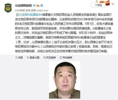  公安部|公安部A级通缉令逃犯程麦生投案自首 涉嫌盗墓倒卖文物