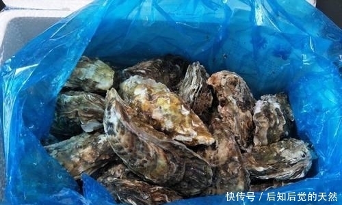 诱惑|美食诱惑,蒸生蚝,冷水下锅还是热水下锅,蒸几分钟?做好了鲜美好吃