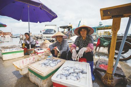 新鲜|天然海鲜 寻味茂名