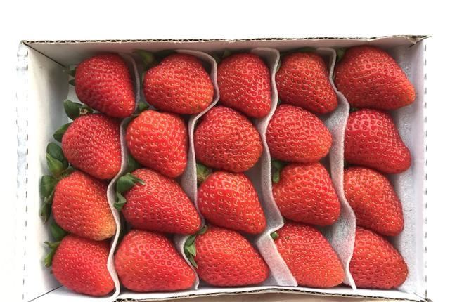 操作|法式甜点草莓慕斯,颜值高口味赞,操作非常简单,跟我一起做起来