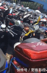 嫦娥|搞笑GIF:嫦娥姐姐是你吗?我是天蓬啊