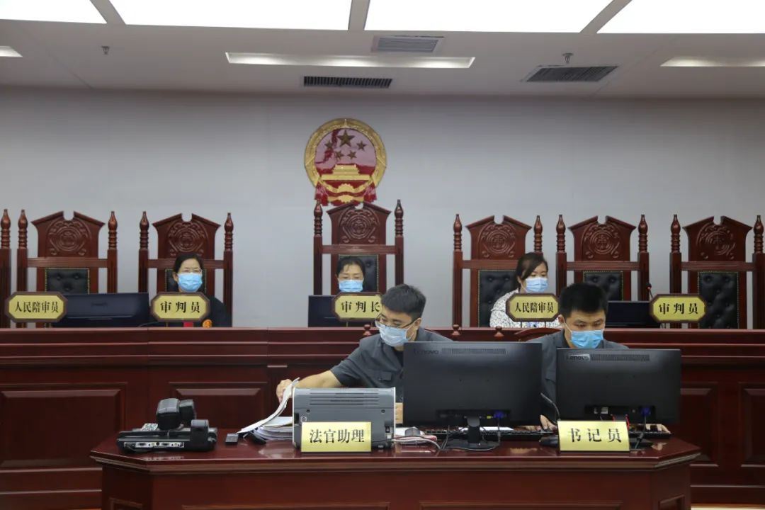  公开|陵城区法院公开宣判5件恶势力犯罪案件！14名被告人获刑！