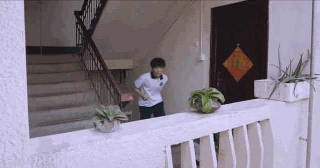 日常|不撕逼无狗血，这一家五口的琐碎日常却很有味道