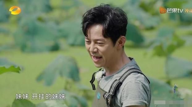  节目|何炅上节目时被指区别对待，自曝刚做手术未拆线，网友：太敬业了