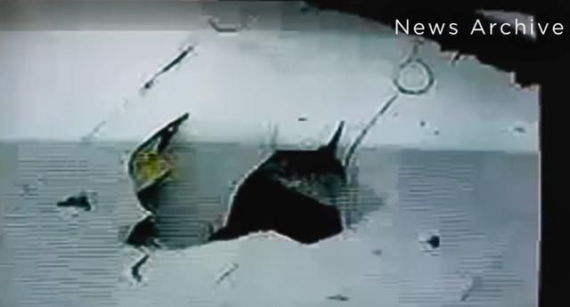  尺度|离奇跳楼、弑夫杀妻、外星人绑架，美国版《走进科学》尺度惊人