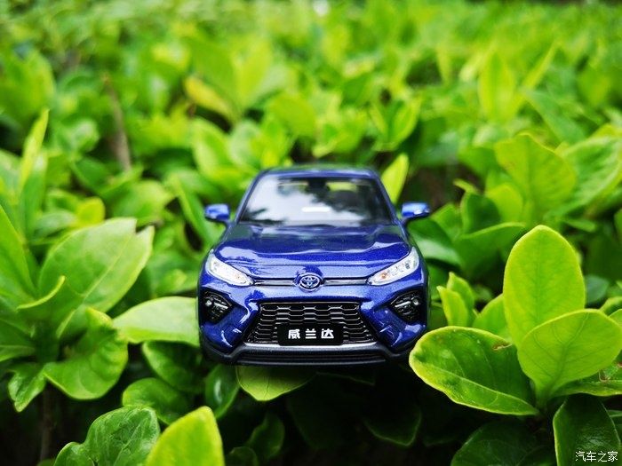 拍摄|拥有威兰达车模,绽放花丛中,说说感受