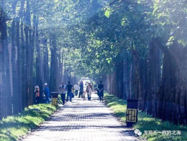 感觉|北海新发现:这个网红公园太漂亮了,感觉到了欧洲