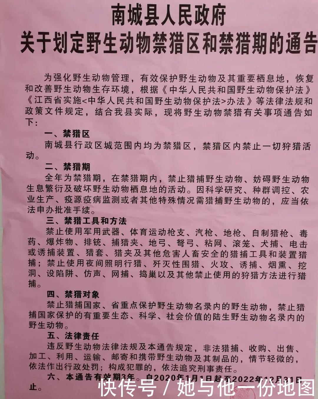 捕捉|两外地男子在南城捕捉12只画眉鸟被抓！