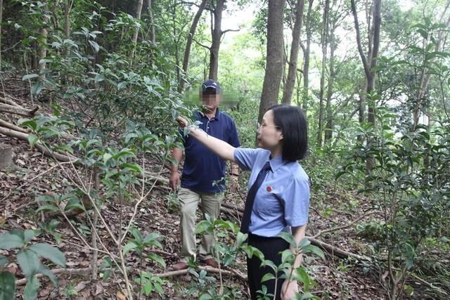 警陈璐萍|砍39棵树罚种390余株苗 宁海检察院：谁破坏谁修复