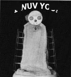 婴儿|婴儿对母亲的强烈依恋是因为哺乳吗?这群猴子给出了答案