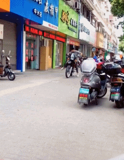 趣图|搞笑GIF趣图:没事我就出去溜溜,让这几个鸡仔羡慕嫉妒恨