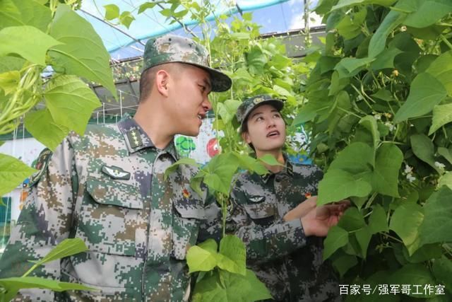 边防|上尉连长娶了上士班长!在单位还好说，回家后要给老婆敬礼吗?