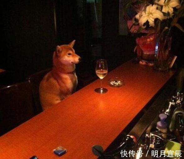  荒唐|10张那些看起来“荒唐”的照片，让人很难理解到底是怎么回事