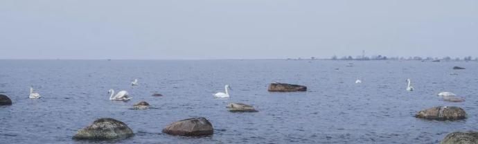 工作|执行日记（四） | 以善意温情，写雷霆执行