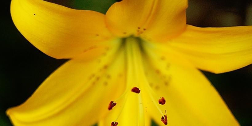 星座|10月,好运汇聚,爱情柳暗花明的4大星座,桃花运超棒