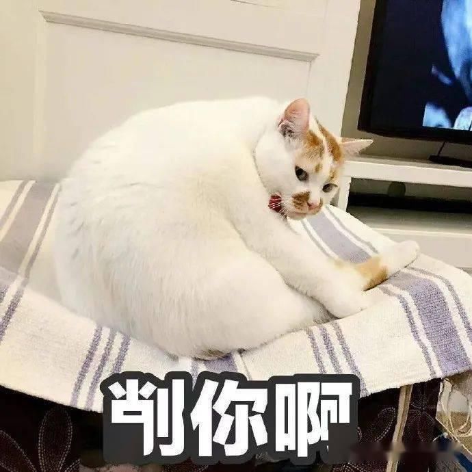  活见鬼|一个月被掰5次后视镜，车主一看监控真是活见鬼了……