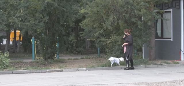 主人|遛狗，别让文明“溜走”