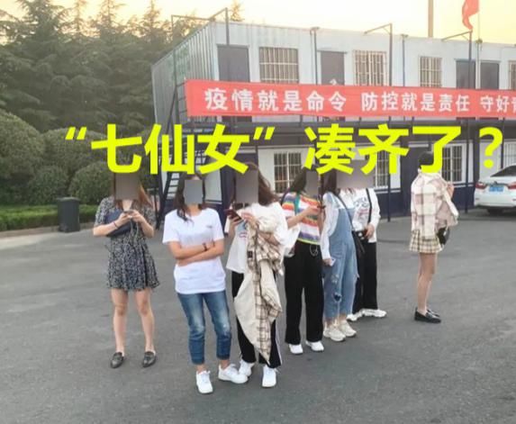  车主|拉7个漂亮女同事涉嫌超载，被交警拦下后，车主：哪个都不舍得扔下