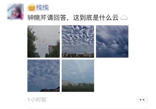  砸坏|吉林省这地突降冰雹！大小如鸡蛋！牌匾都被砸坏了……