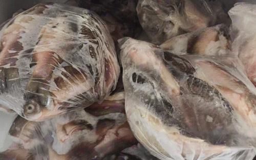  新鲜|冰箱拿出来的冻鱼，万万不要用水泡，教你一招，鱼解冻快，特新鲜