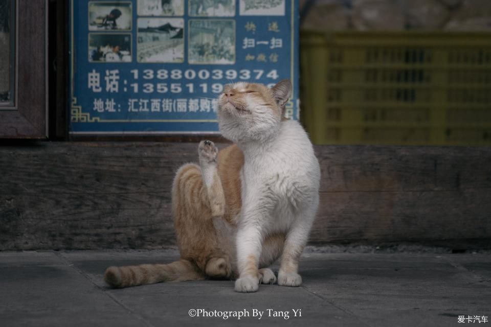 老一辈|【热搜冲顶】老一辈四川人的生活就是：吃烟，喝茶，打牌。