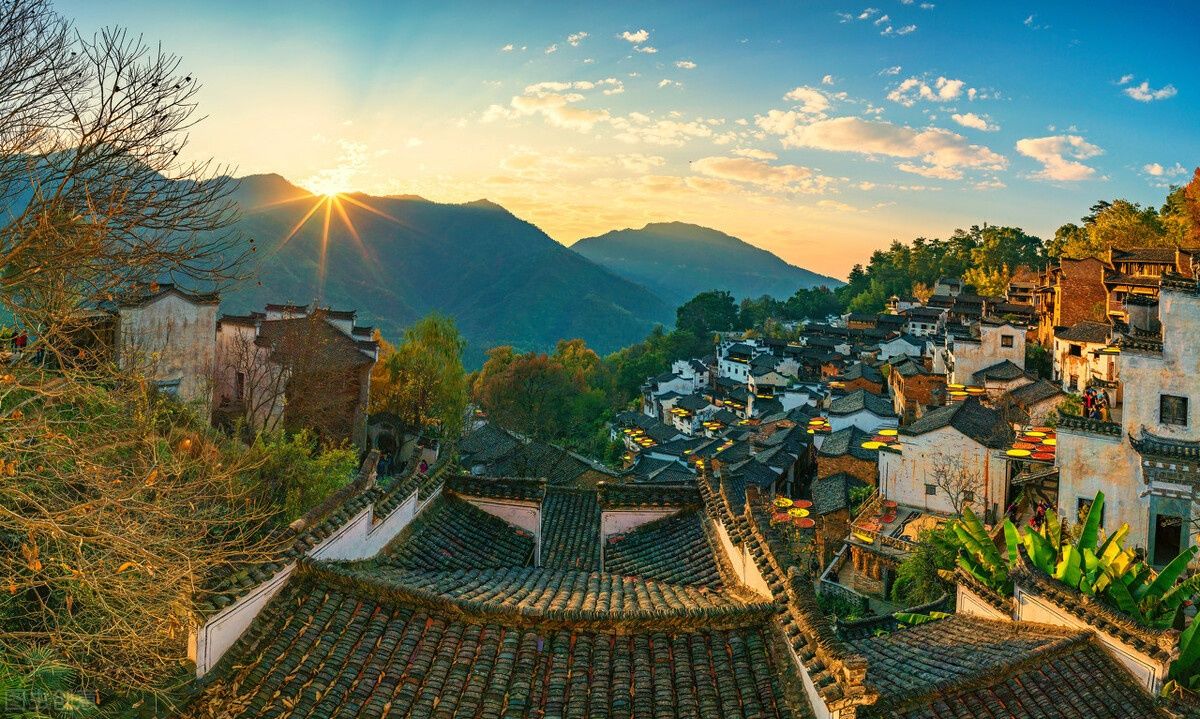 回来|异乡人：秋天了，故乡等你回来晒太阳