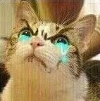 别争|“别争!你们都是我孩子的爸”你小时候看的剧这么刺激?