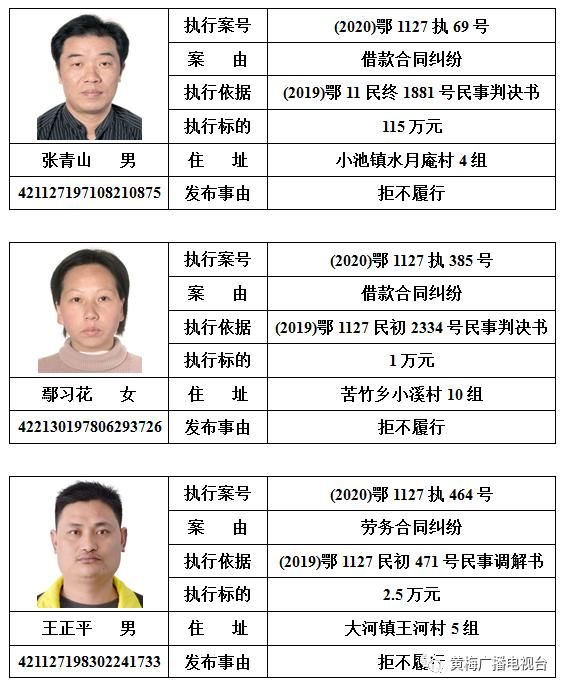  人民法院|黄梅县人民法院发布对邹南勇等110名被执行人的预拘留公告