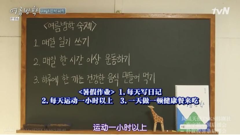  节目|韩综治愈系再出新作，姐弟一起过《暑假》