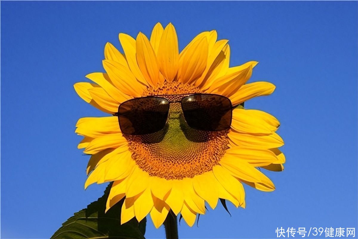 立秋之后怎么祛暑湿(立秋后还有秋老虎，如何预防“三暑”？中医：两味药助你防暑防燥)