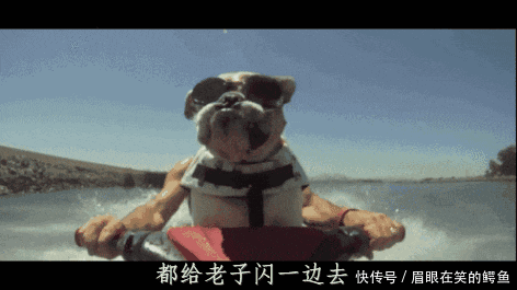 嘉际|命名定了! 吉利最重磅车型终于来了! 7.99-12.99万!