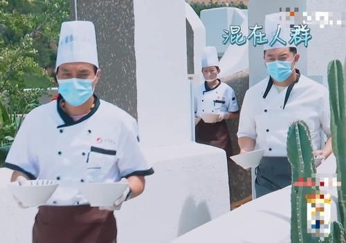 厨师|妻旅4：沙溢伪装成厨师，胡可认不出，他四个字回应，有情绪了