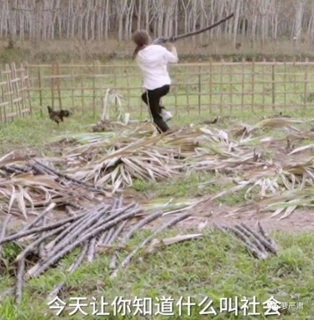 睡梦中|这类节目还没有被女星们拉黑吗水冲掉全脸妆、睡梦中拍摄……