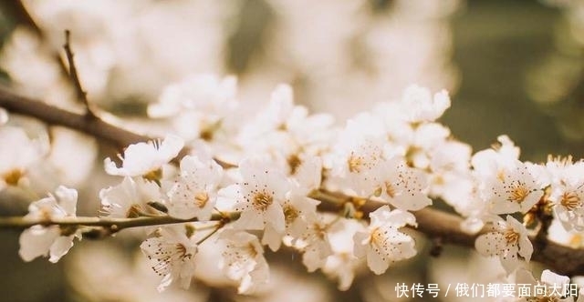 林徽因|爱上不该爱的人,一定要及时止损