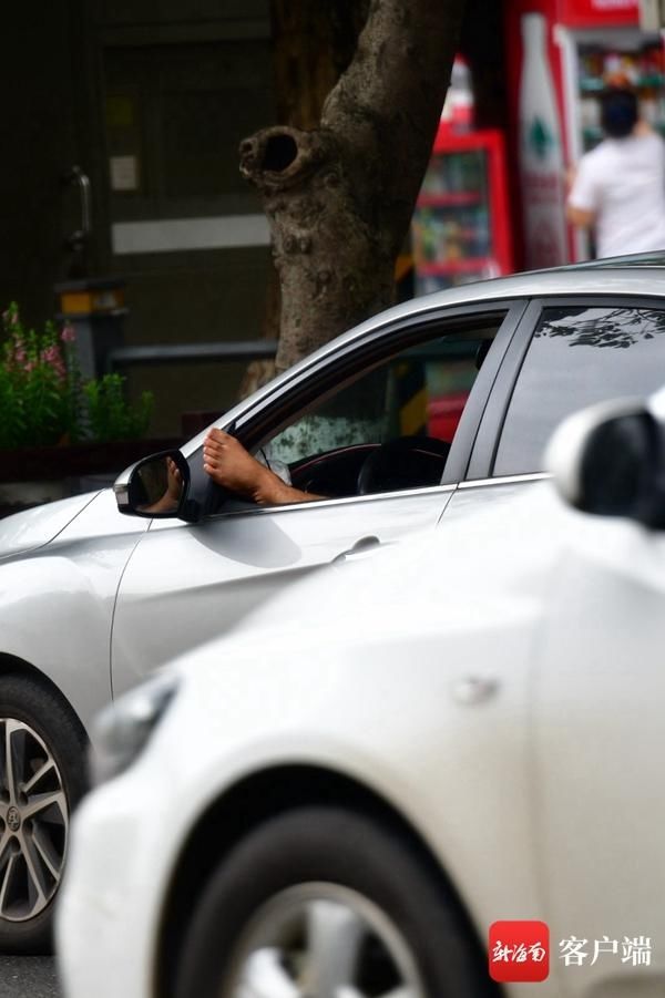 非机动车道|不文明交通行为曝光台 | 海口部分机动车行为扰人“忧”：“任性”停车、随意变道……