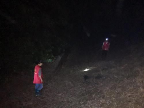 升级|升级预警!防汛,栖霞在行动!