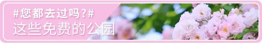  西瓜|用这个方法切西瓜，吃完不脏手不流汁，大家都夸好！