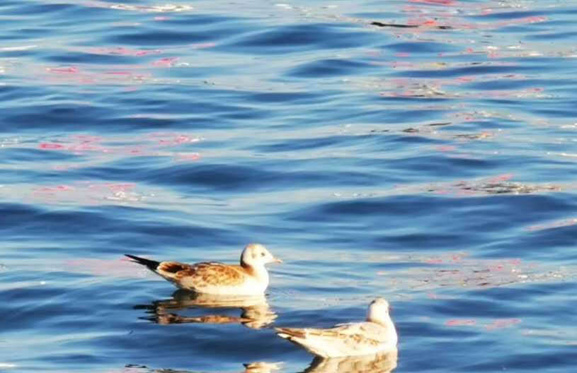 结婚|结婚需要彩礼和结婚仪式吗