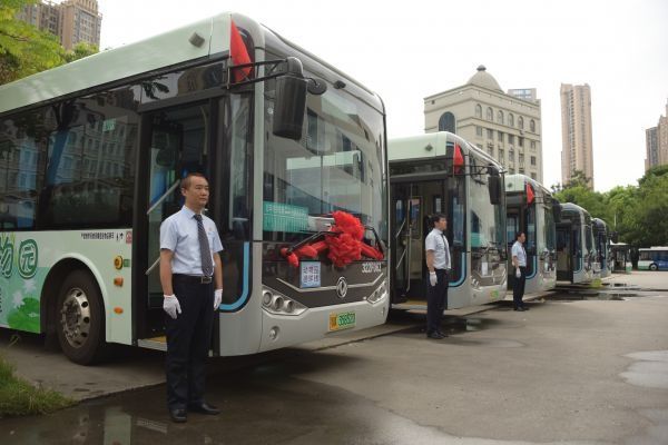 串联商圈、地铁站，武汉公交“动物园循环线”开通了