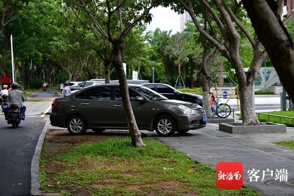 非机动车道|不文明交通行为曝光台 | 海口部分机动车行为扰人“忧”：“任性”停车、随意变道……