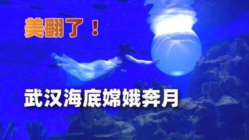 兼职|为赚钱给父母买月饼，95后律师国庆兼职“海底”嫦娥奔月表演