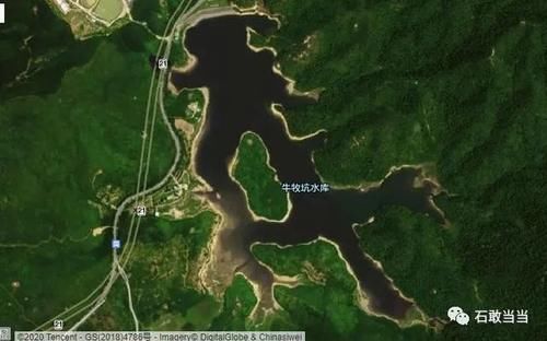 朱先生|一男子被困“孤岛”10天荒野求生的多个疑惑