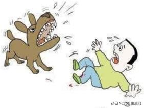  市民|你又不是二郎神，遛狗为啥不牵绳