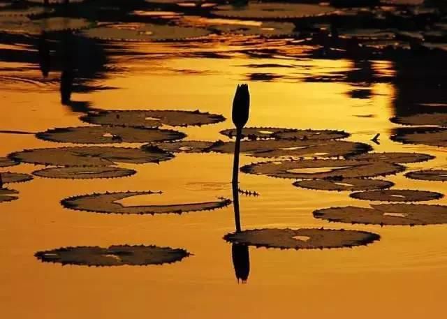  秋景|这一组迷人秋景，美爆了朋友圈！