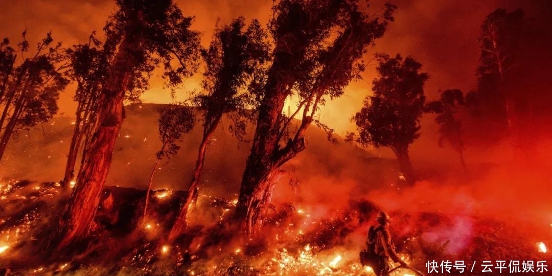  流离失所|加州大火让几万人流离失所，乘火打劫的人却连消防员都不放过