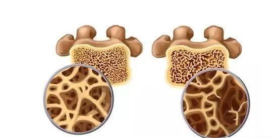 知识|夜宵吃了很多,为什么第二天早上反而更饿?涨知识了