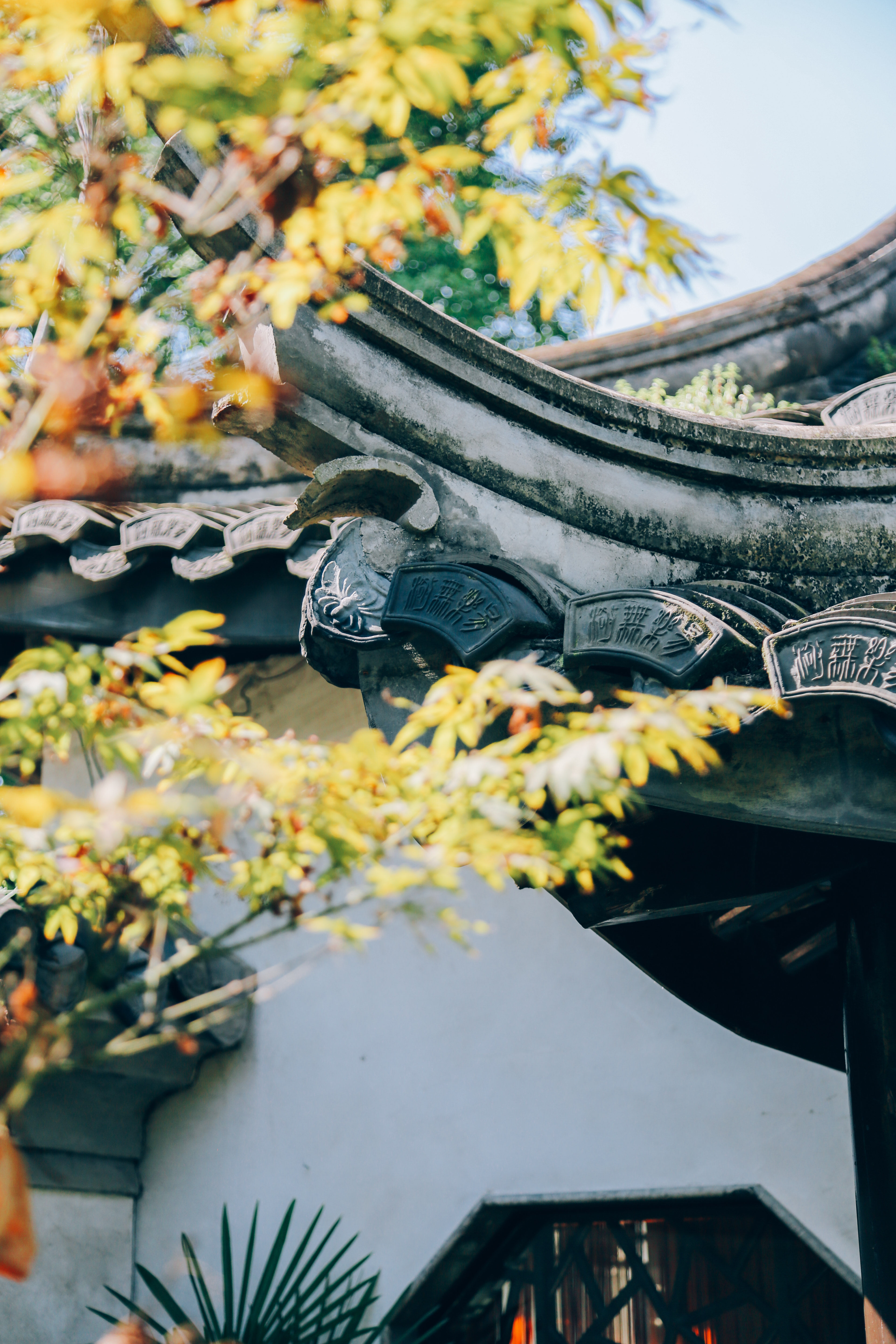 记录一下|成都,撑肚!成都的旅途中,少不了美食的“浓墨重彩”